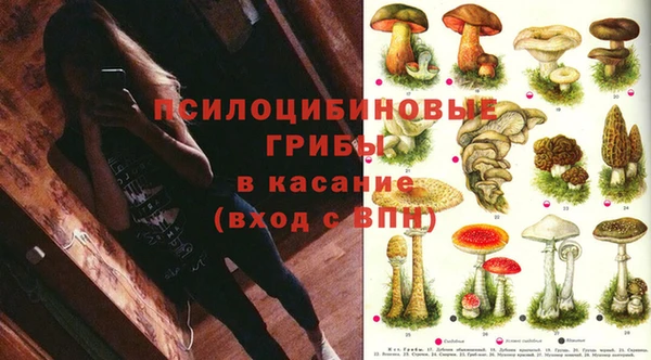 apvp Абаза