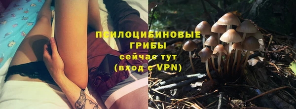 стафф Абинск
