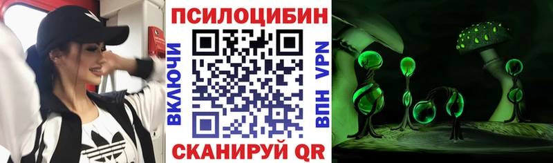 кракен зеркало  Азов  Галлюциногенные грибы прущие грибы 